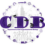 Multiple lab wins at the CDB retreat