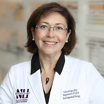 Luisa Iruela-Arispe, PhD